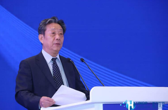 Hydrogen energy industry conference of the United Nations Development Programme held in 2019.