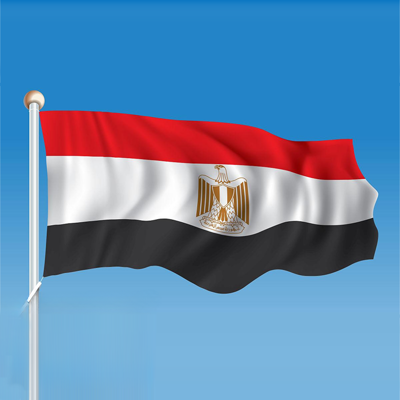 Egypt's draft hydrogen law proposes a 55 percent tax credit for green hydrogen projects