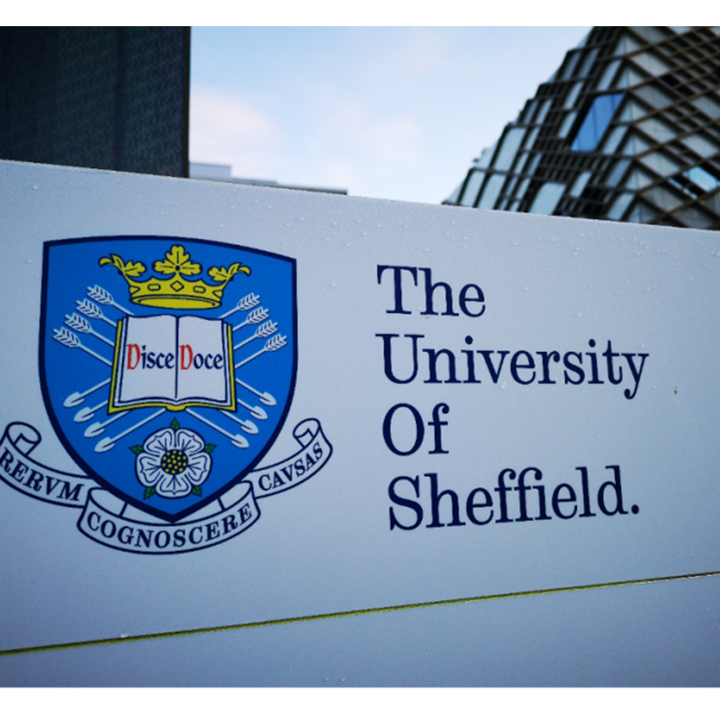 The University of Sheffield is poised to become the UK's largest producer of green hydrogen 