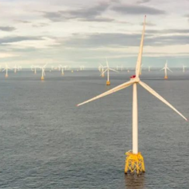 CIP works with Mexican authorities on green hydrogen and Marine fuel projects